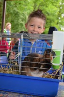 /album/a29-5-den-se-zviratky/den-se-zviratky-4-jpg/